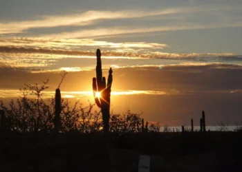 Discovering Cabo Pulmo Feature