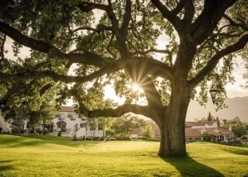 Ojai Resort Feature
