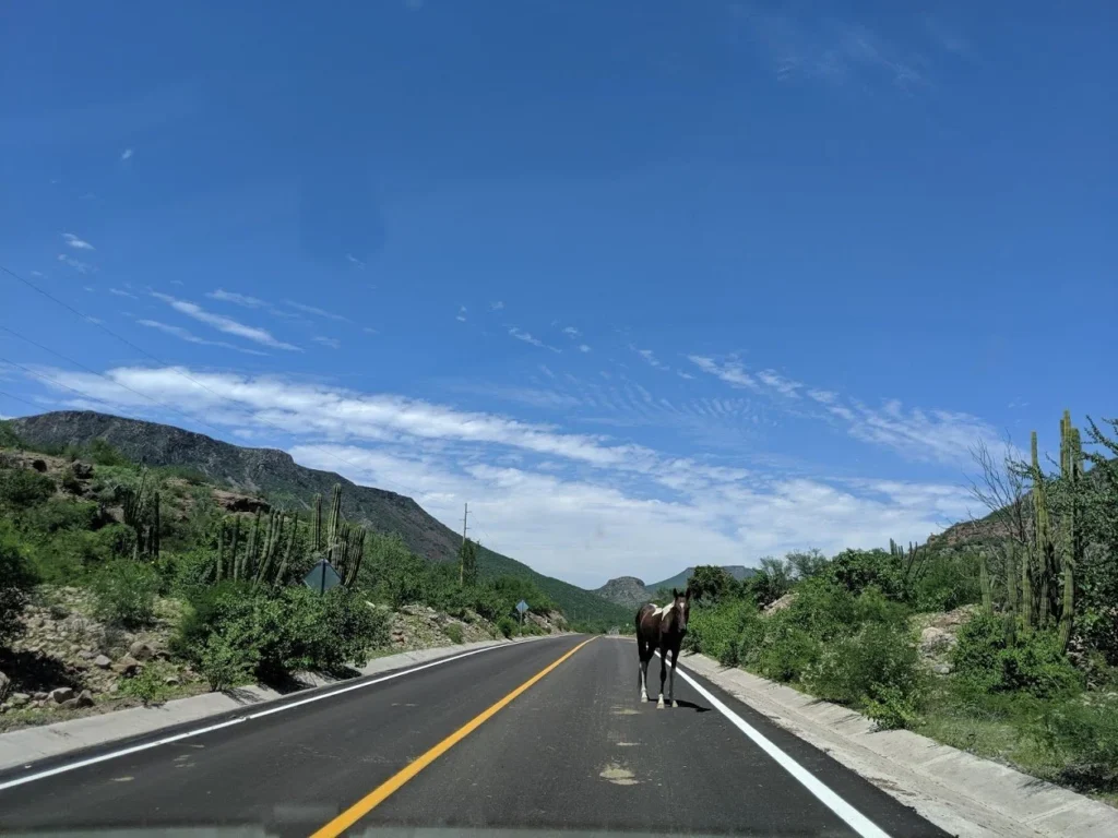 Loreto Road Trip to Mountains
