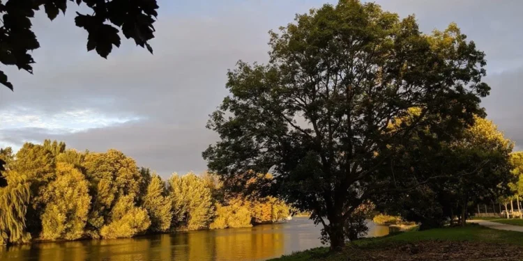 Richmond Park Feature