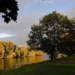 Richmond Park Feature