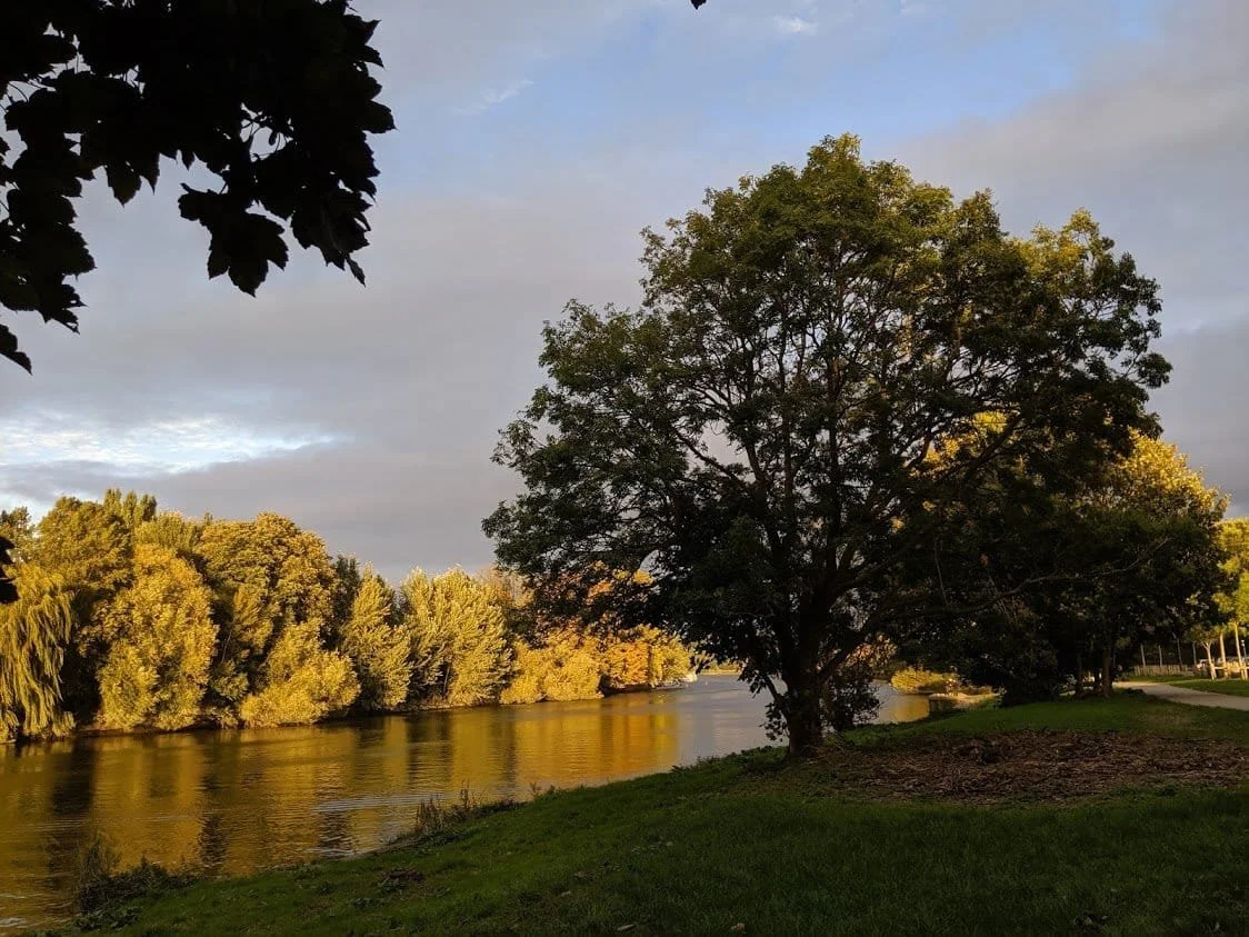 Richmond Park Feature