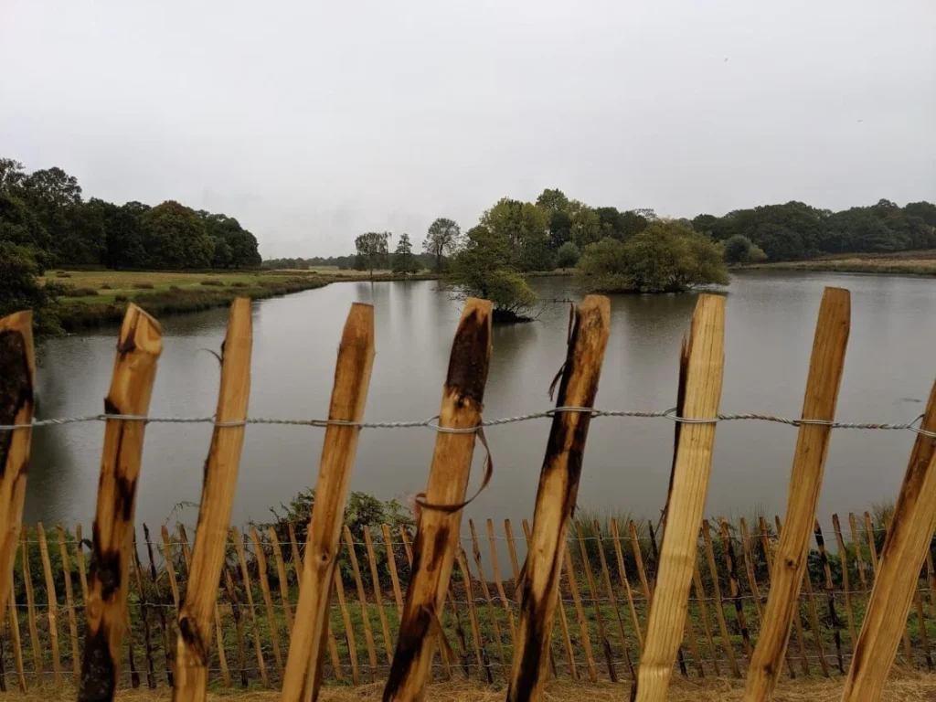 Richmond Park Lake