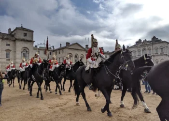 London Guards Feature