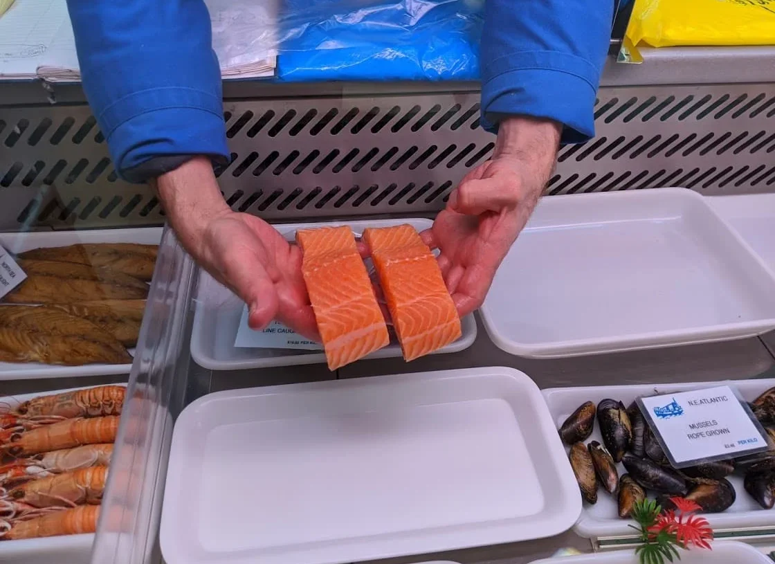 Fish Lovers dilemma