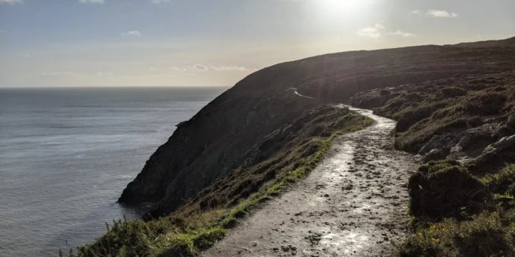 Howth Cliff Walk Feature