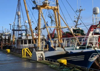Howth Fishing Village Feature