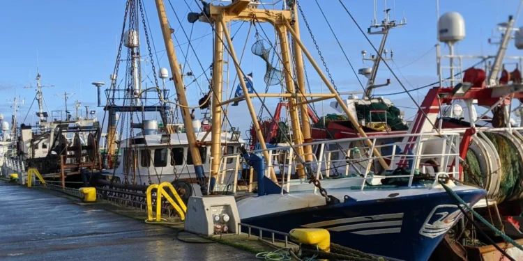 Howth Fishing Village Feature