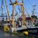 Howth Fishing Village Feature