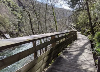 Paiva River Walk Feature