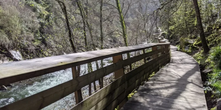 Paiva River Walk Feature