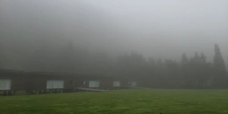 Heavy Rain Furnas Feature