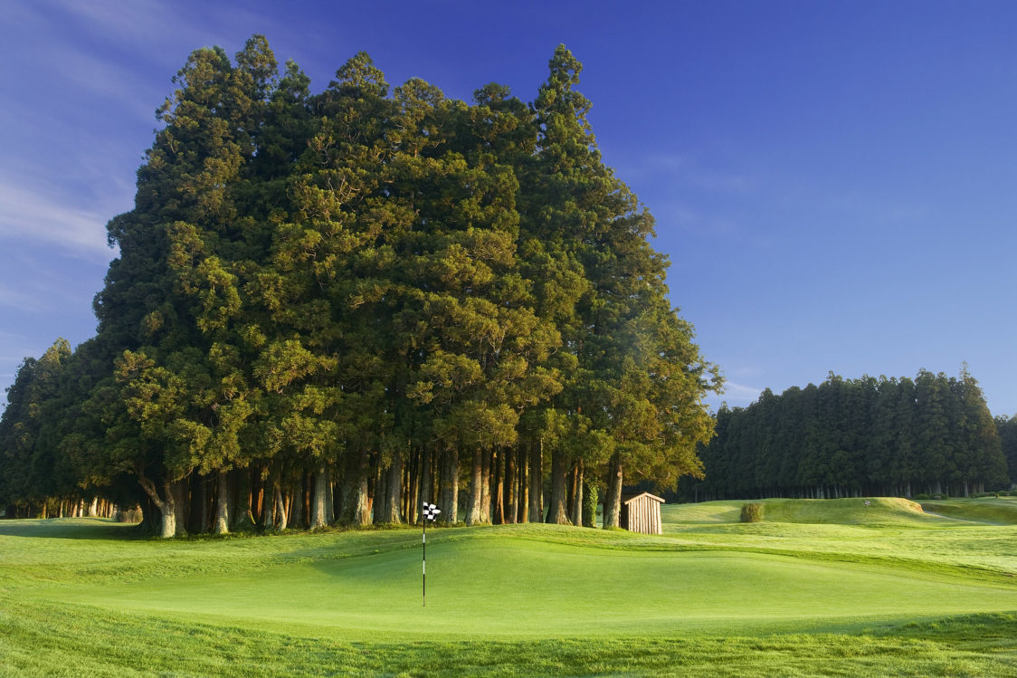 PGE l Furnas Golf Course l Golfing in the Azores l Hole #2 with Japanese Cedars