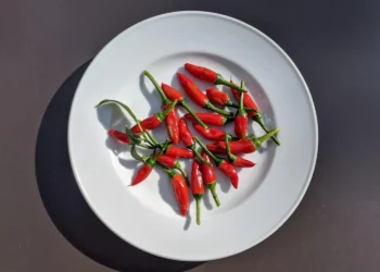 Azores Some like it hot Feature