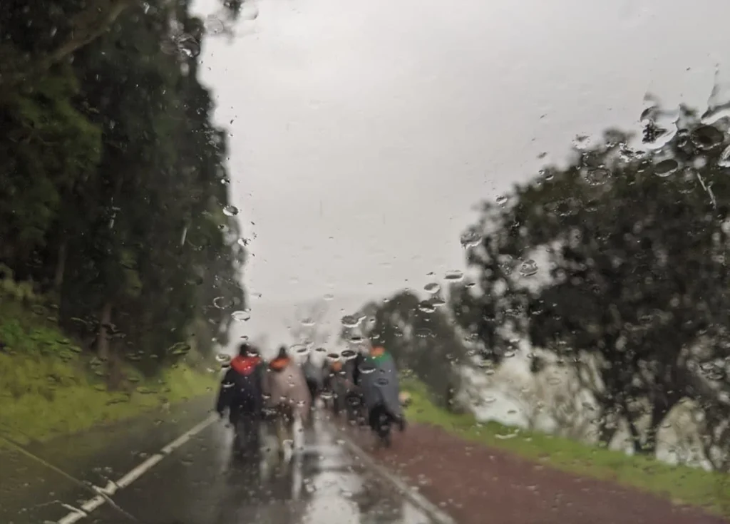 Playground Earth | The Romeiros of Sao Miguel View from the car