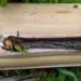 Japanese Cedar Stripping Feature