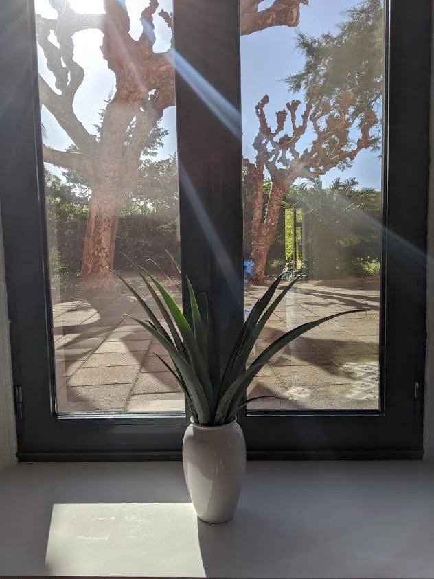 Herdade do Ananas