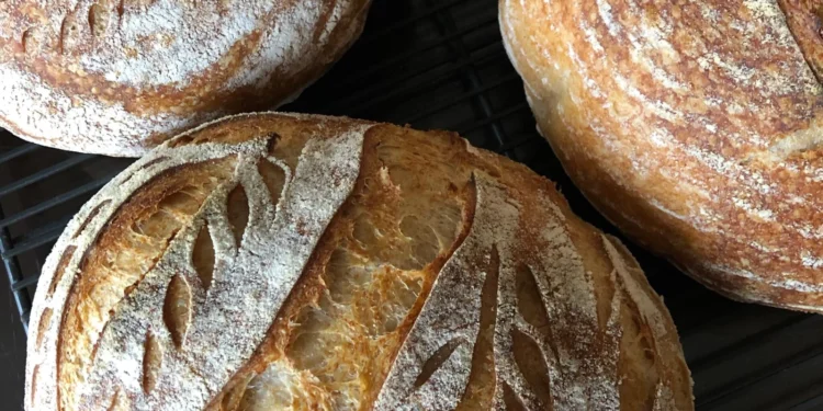 Sourdough Bread Feature