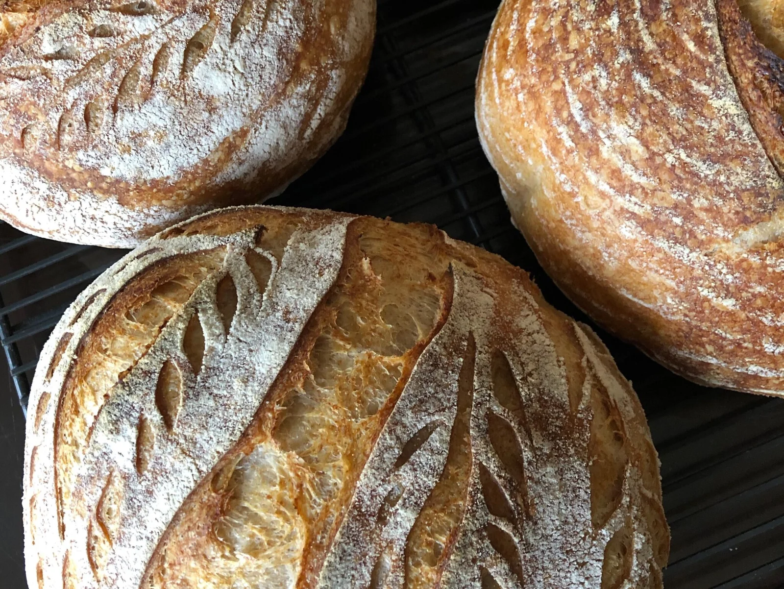 Sourdough Bread Feature
