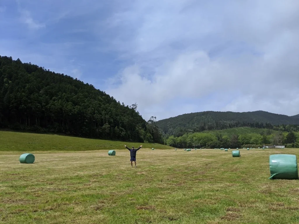 Azores Hay Sunshine's Jim on work