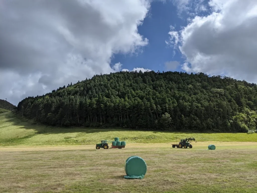Azores Hay Sunshine's Tractor