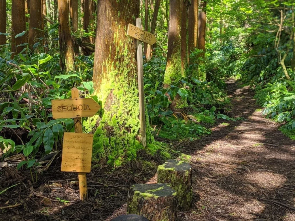 Playground Earth | Mata Jardim Trail Sign