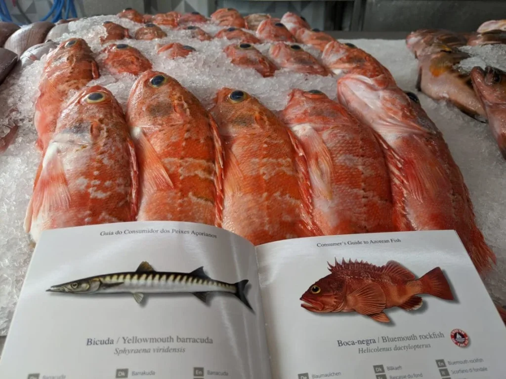 Peixaria Almeida Boca Negra