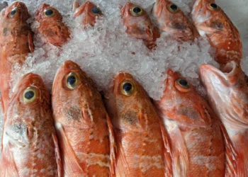 Peixaria Almeida Feature