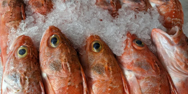 Peixaria Almeida Feature