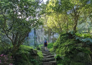 Salto Da Farinha Hike Feature