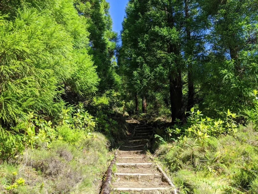 Pico do Vara Hike