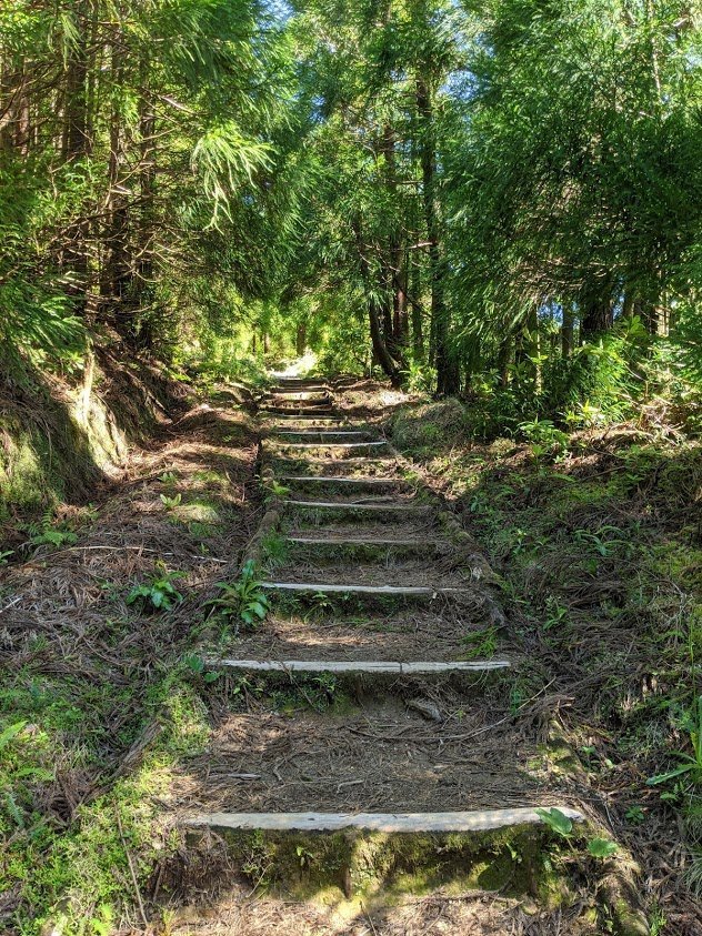 Pico do Vara Hike