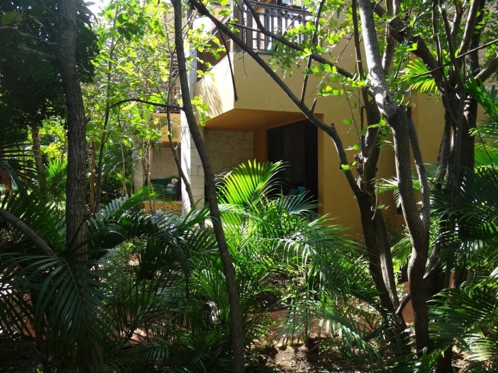 Playground Earth | Our room in the tropical forest