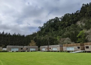 Furnas Lake Forest Feature