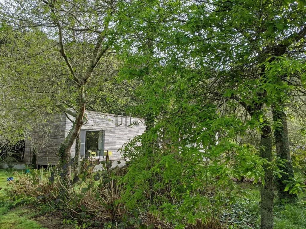 Furnas Lake Forest Studio Daylight