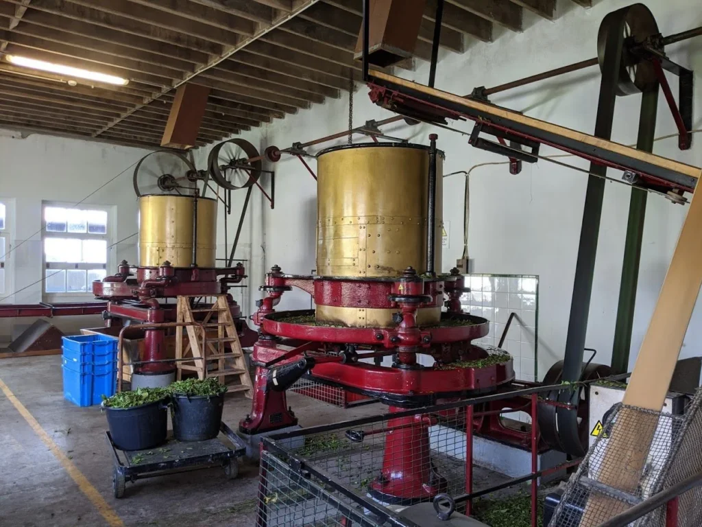 Gorreana Tea Plantation Rolling Room