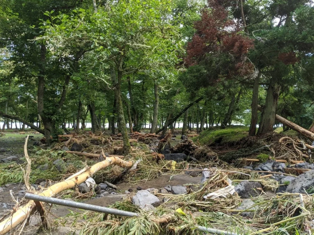 Playground-Earth Parque Grena Aftermath