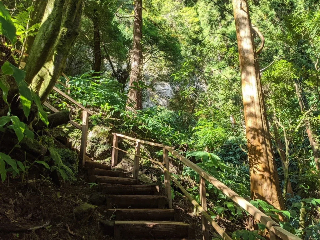 Playground-Earth Parque Grena Climb