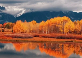 Boulder Colorad Feature