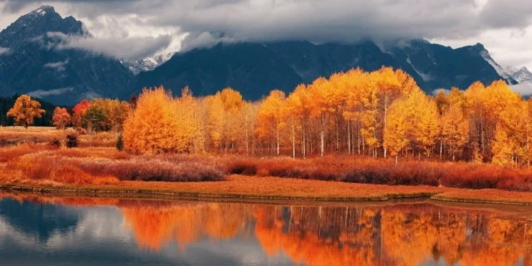 Boulder Colorad Feature