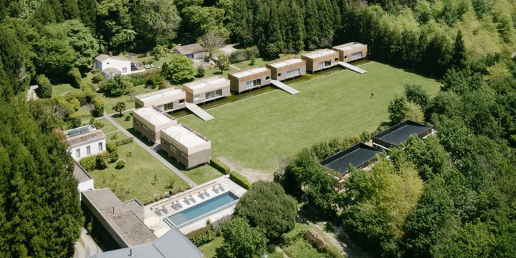 Furnas Lake Forest Feature