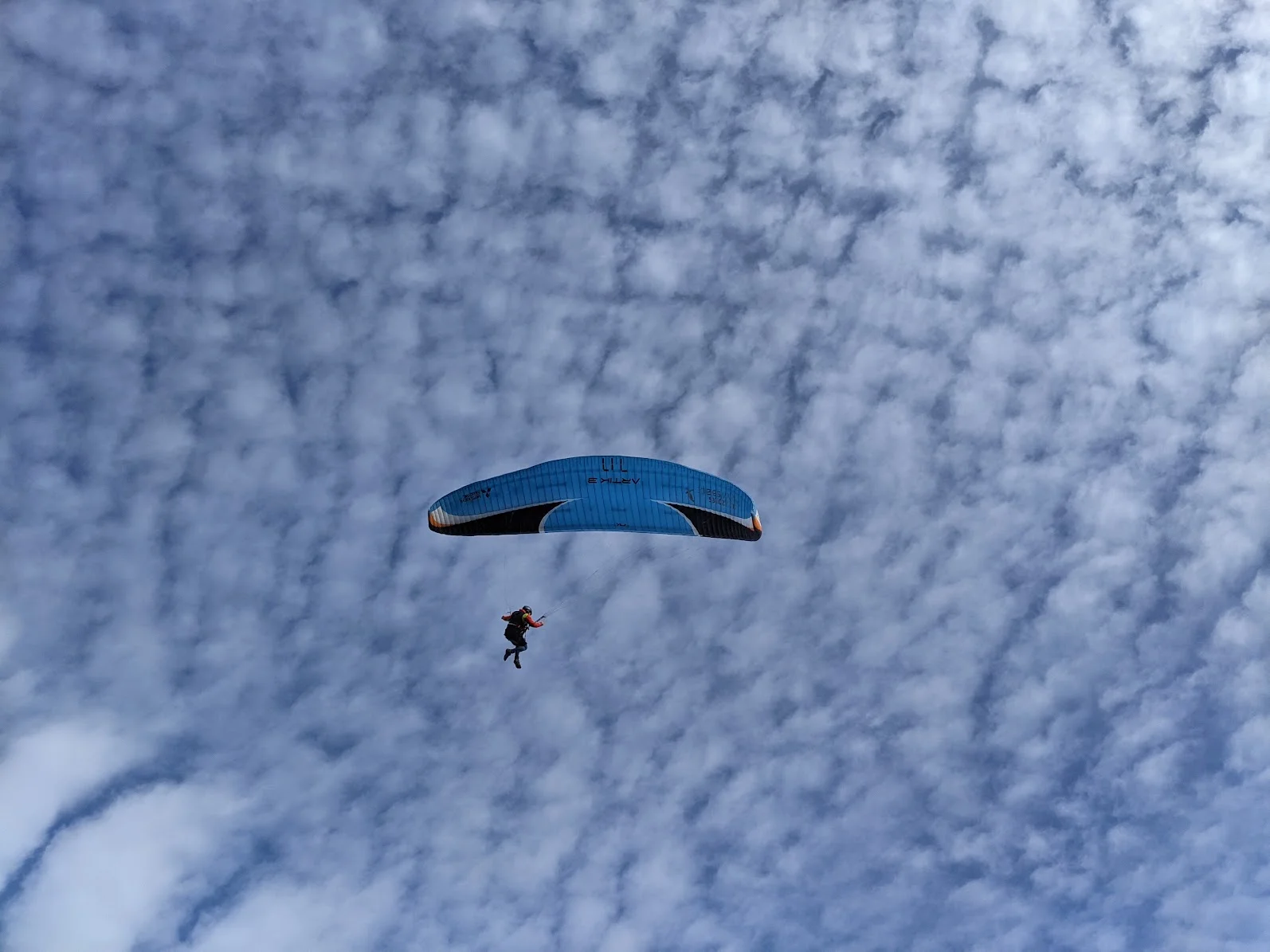 Ponta da Ferraria Gliders