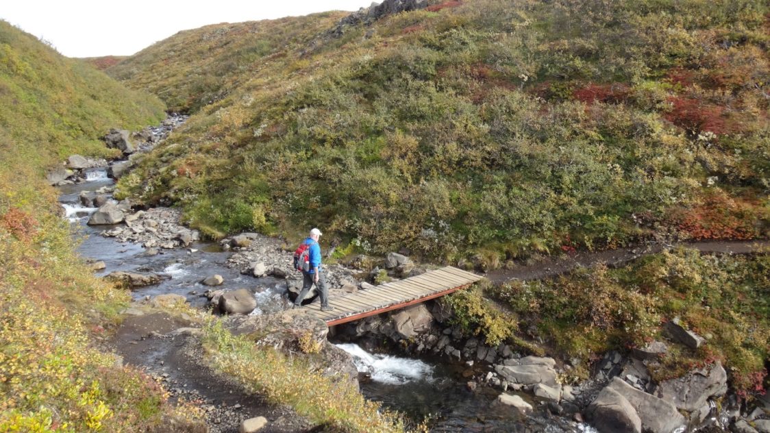PGE l Iceland l Bridge to Svartifoss Waterfall