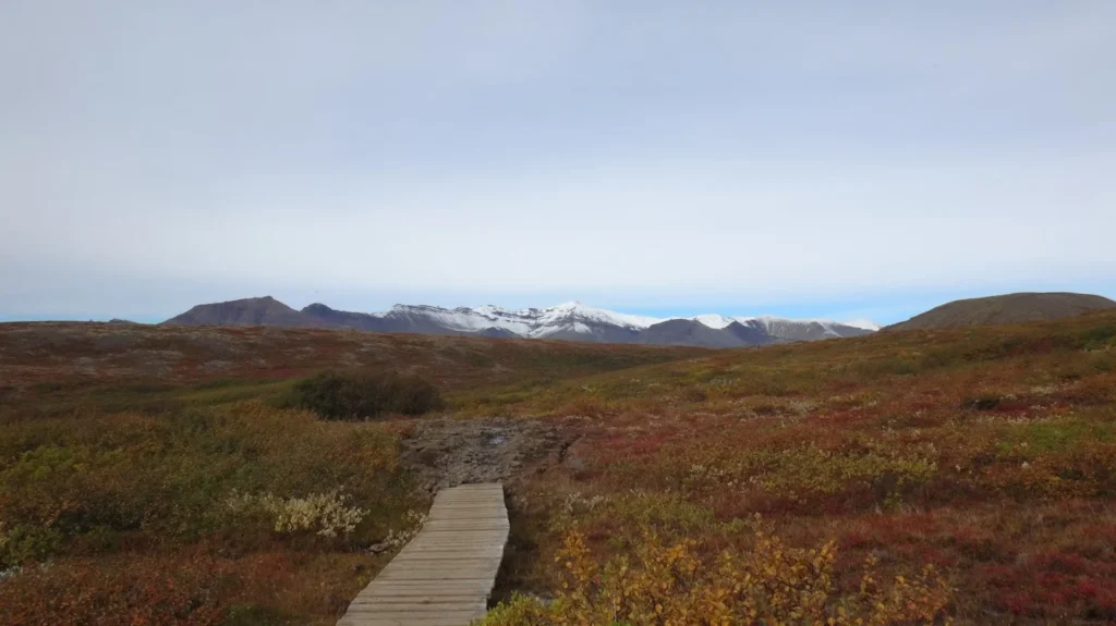 Our six favorite Iceland Hikes