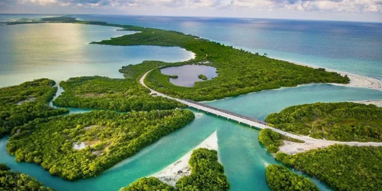 playground-earth-punta-allen_feature