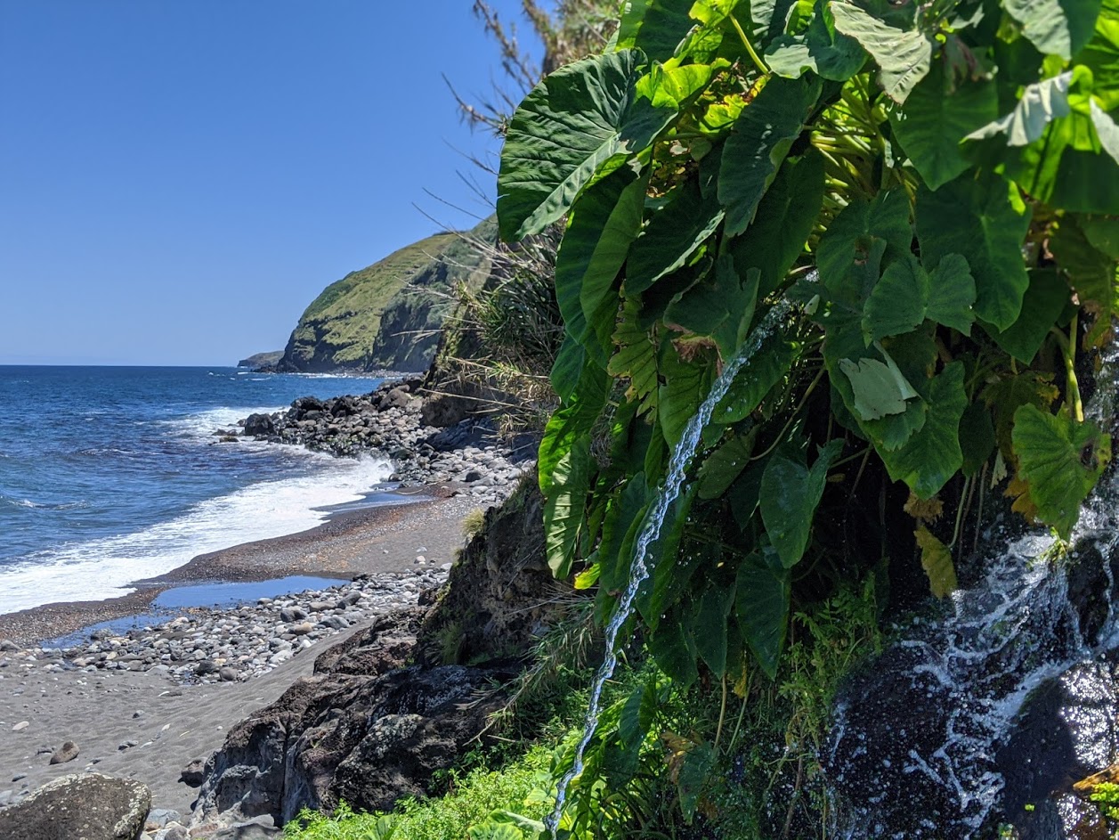 Playground Earth | Our top 5 hikes of Sao Miguel
