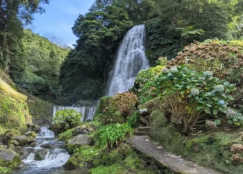 Azores Watertown Feature