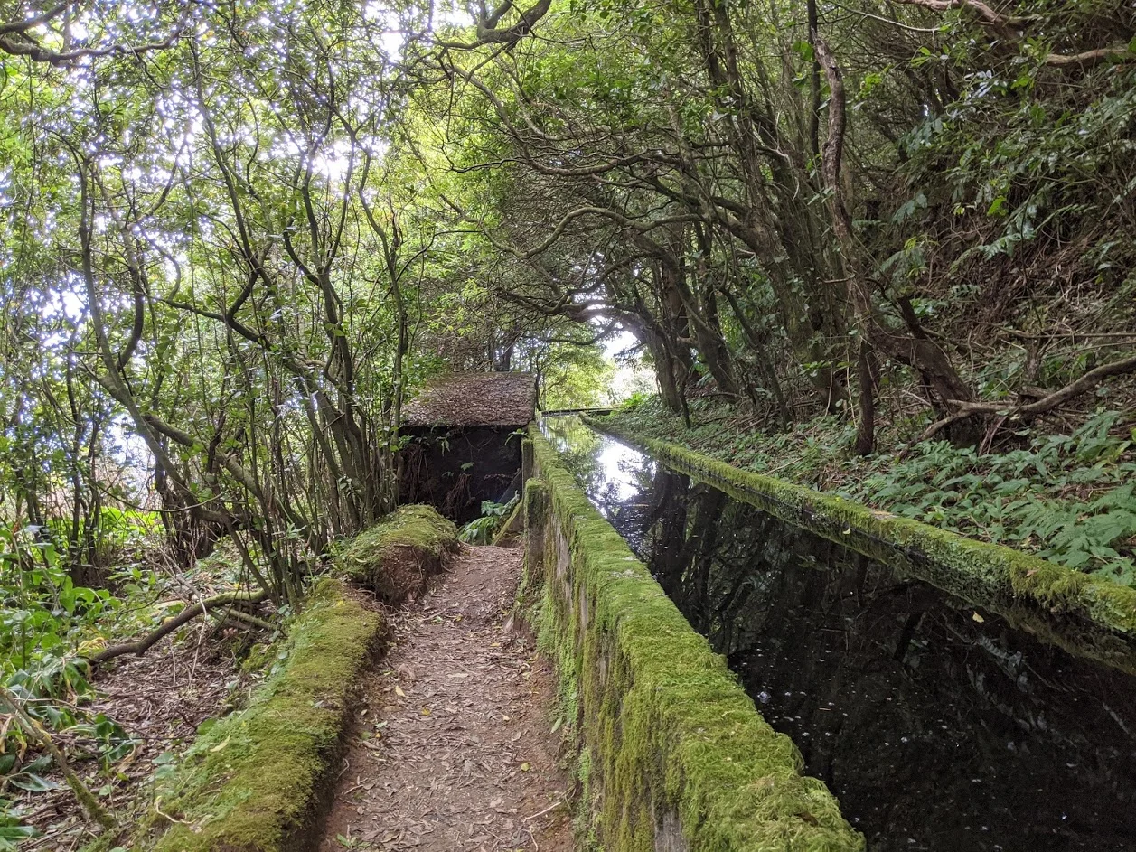 Our top 5 Sao Miguel Hikes