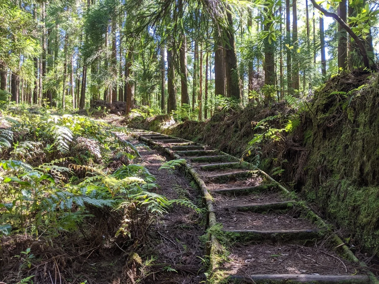 Our top 5 Sao Miguel Hikes