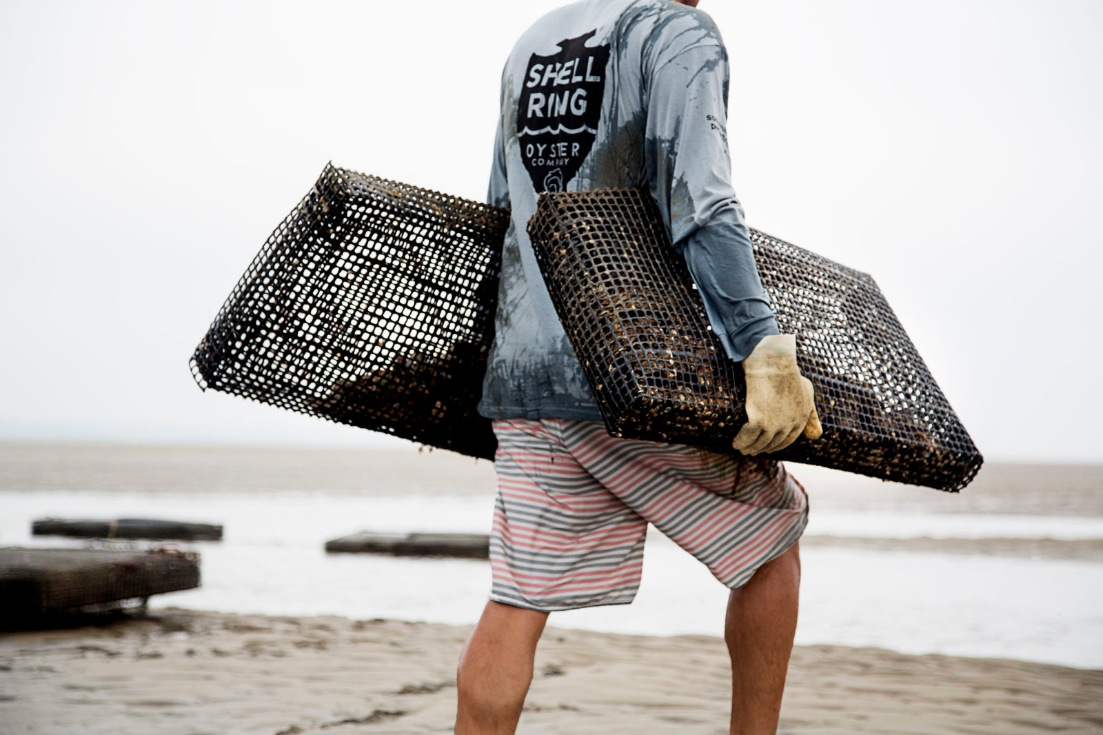 Shell Ring Oyster Company